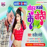 Tohar Gajbe Ke Choli (Bhojpuri)