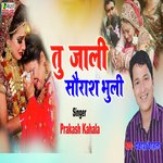 Tu Jali Saurash Bhuli