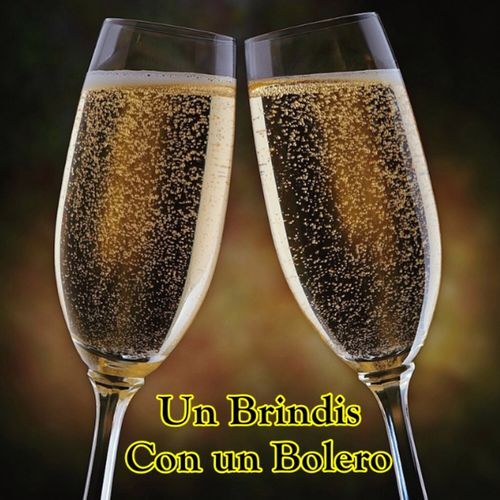 Un Brindis con un Bolero