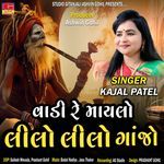 Vadi No Maylo Lilo Lilo Ganjo