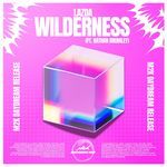 Wilderness (feat. Nathan Brumley)