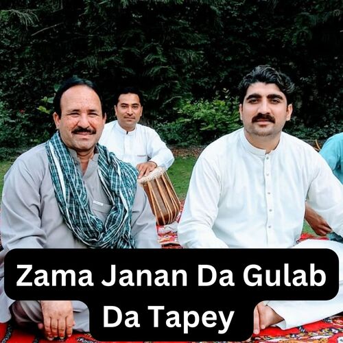 Zama Janan Da Gulab Da Tapey