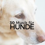 Musik für Seele und Herz artwork