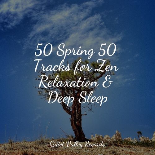 50 Spring 50 Tracks for Zen Relaxation & Deep Sleep
