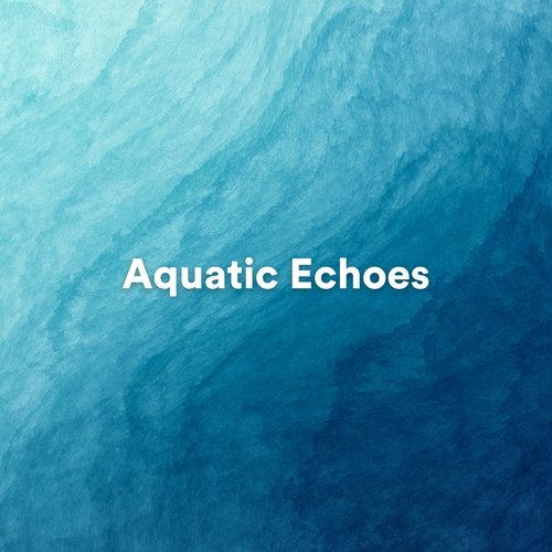 Aquatic Echoes_poster_image