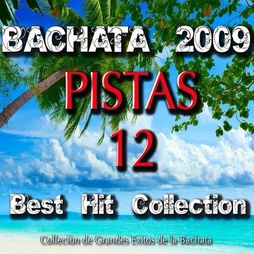 Bachata 2009 Pistas