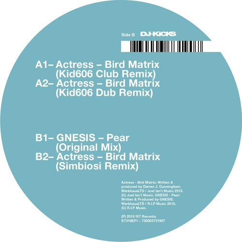 Bird Matrix (Remixes)_poster_image