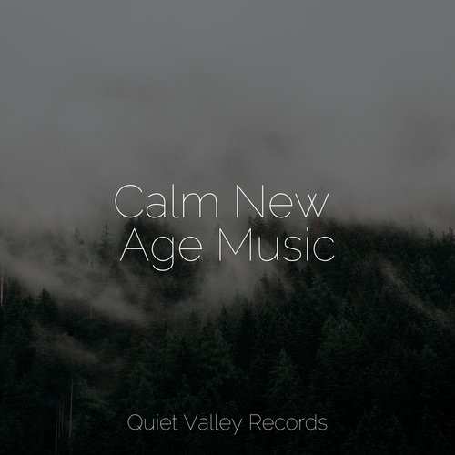 Calm New Age Music