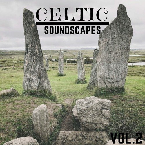 Le lucertole del folk cover art