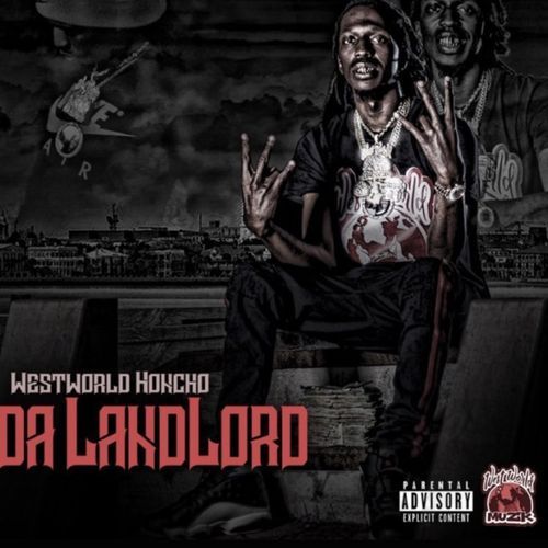 Levy cover art
