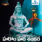 Harom Hara Shankara