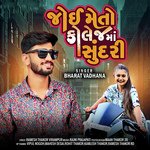 Joi Meto College Ma Sundari