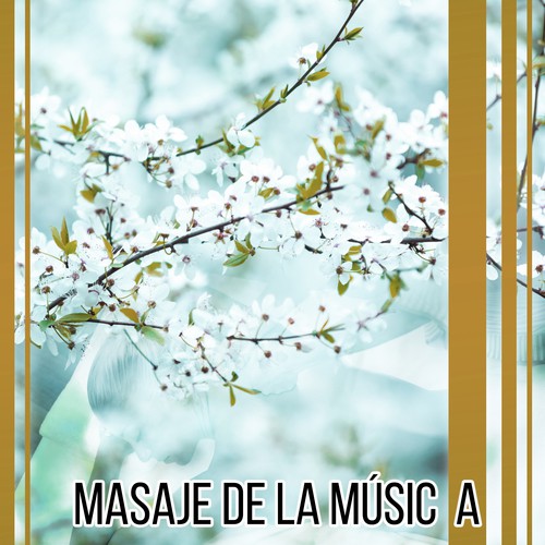 Meditação cover art