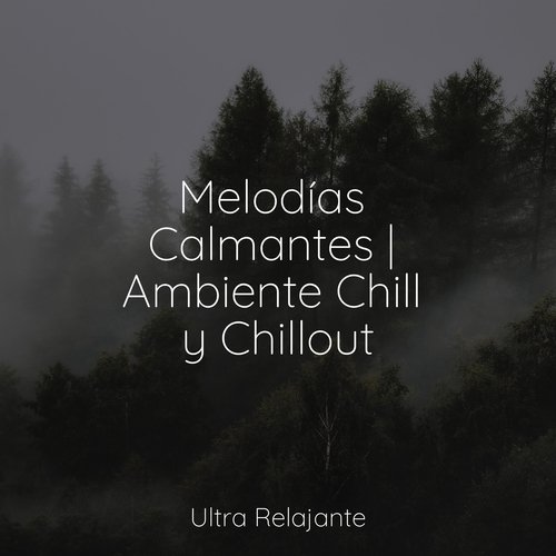 Melodías Calmantes | Ambiente Chill y Chillout