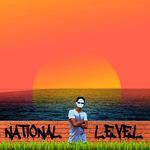 NATIONAL LEVEL