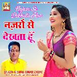 Najaro Se Dekhata Hun