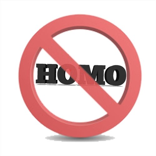 No Homo cover art