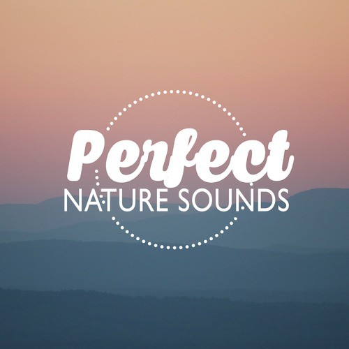Perfect Nature Sounds