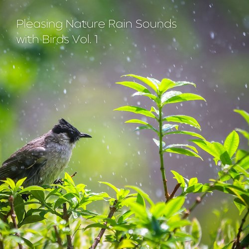 Pleasing Nature Rain Sounds with Birds Vol. 1_poster_image