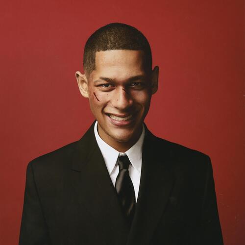 STUPE KRÅKE I OPPOVERBAKKE