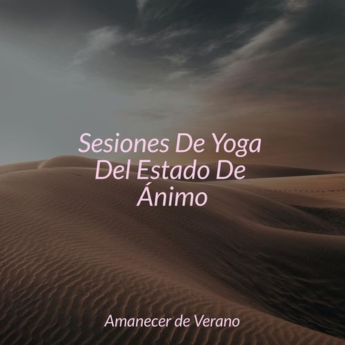 Sesiones De Yoga Del Estado De Ánimo