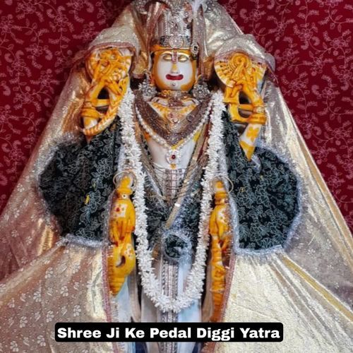 Shree Ji Ke Pedal Diggi Yatra