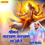 Shriman Narayan Narayan Gao Re