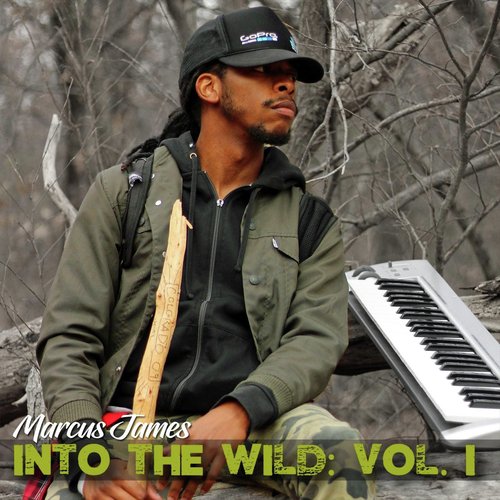 Sounds of Solitude: Into the Wild, Vol. 1