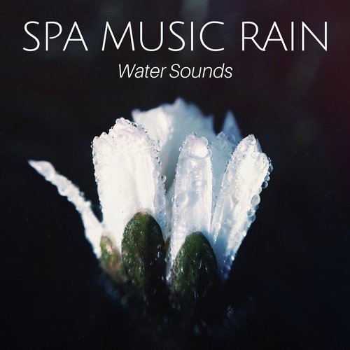 Spa Music Rain - Water Sounds, New Age Music, Deep Sleep, Massage