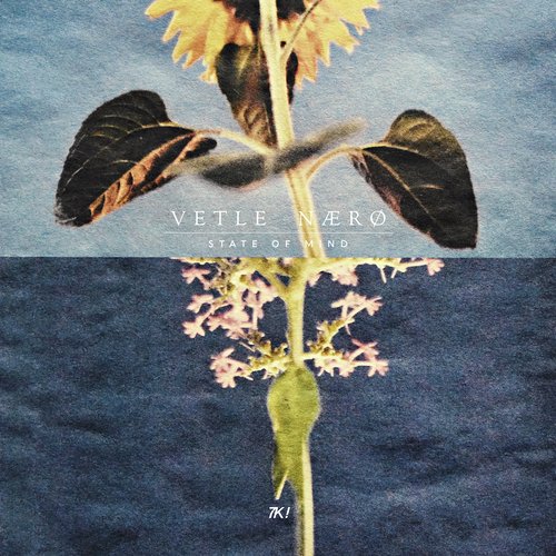 State of Mind I cover art