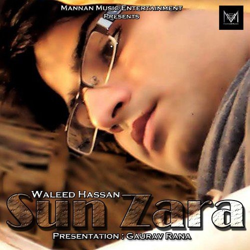 Waleed Hassan