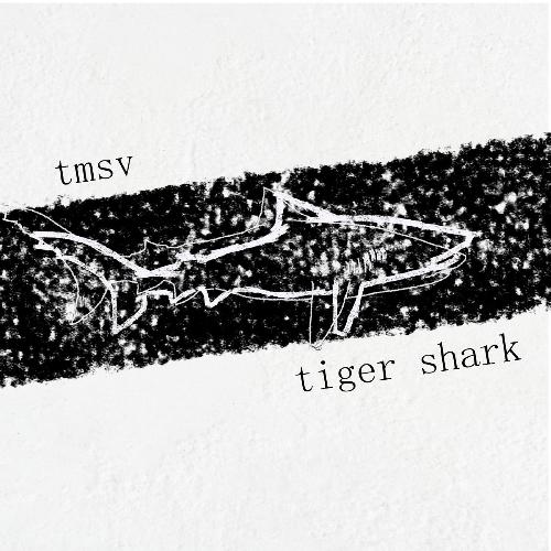 Tiger Shark_poster_image