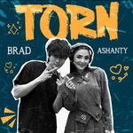 Torn