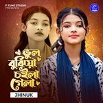 Vul Bujhiya Choila Gela