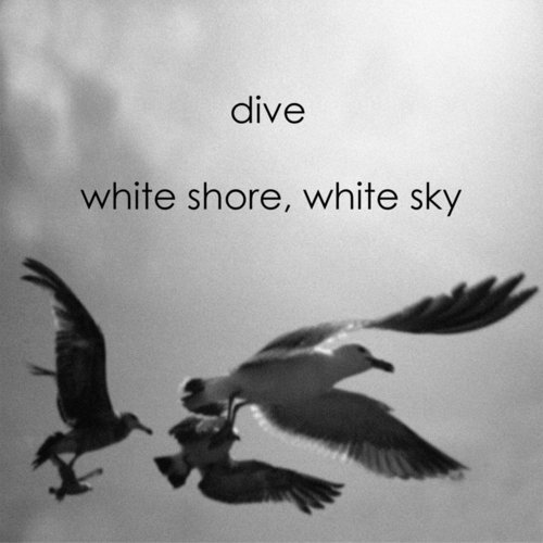 White Shore, White Sky