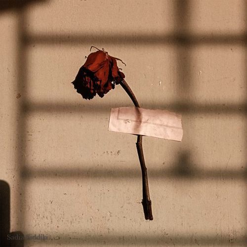 baarishein hai, baarishein