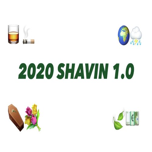 2020 Shavin 1.0