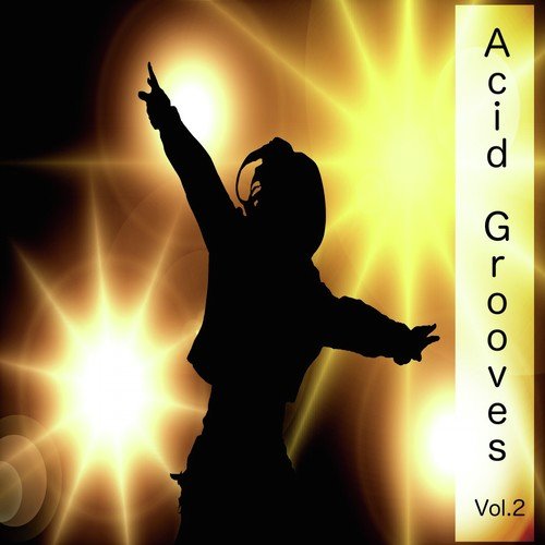 Acid Grooves, Vol. 2