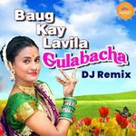 Zaga Maga Zaga Maga Remix (DJ Remix)