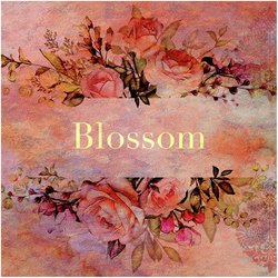 Blossom-GQkSZRVvQWk