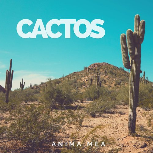 Cactos_poster_image