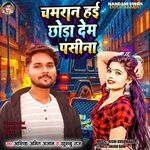 Chamran Hai Chhaoda Dem Pasina
