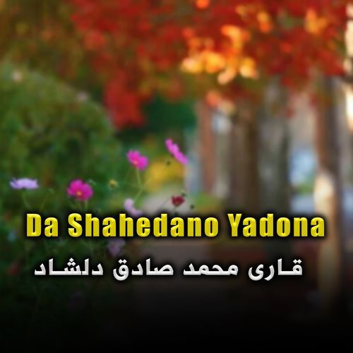 Da Shahedano Yadona