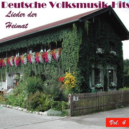 Deutsche Volksmusik Hits - Lieder der Heimat, Vol. 4