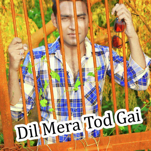 Dil Mera Tod Gai_poster_image