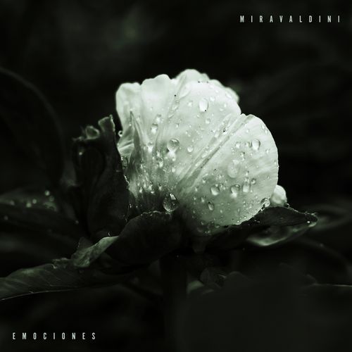 Emociones cover art