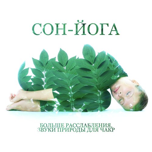 Странствие сна cover art
