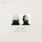 Hetzelfde (feat. Flip Kowlier)