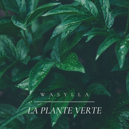 La Plante Verte cover art