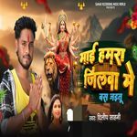 Mai Hamar Jilwa Me Bas Jaytu